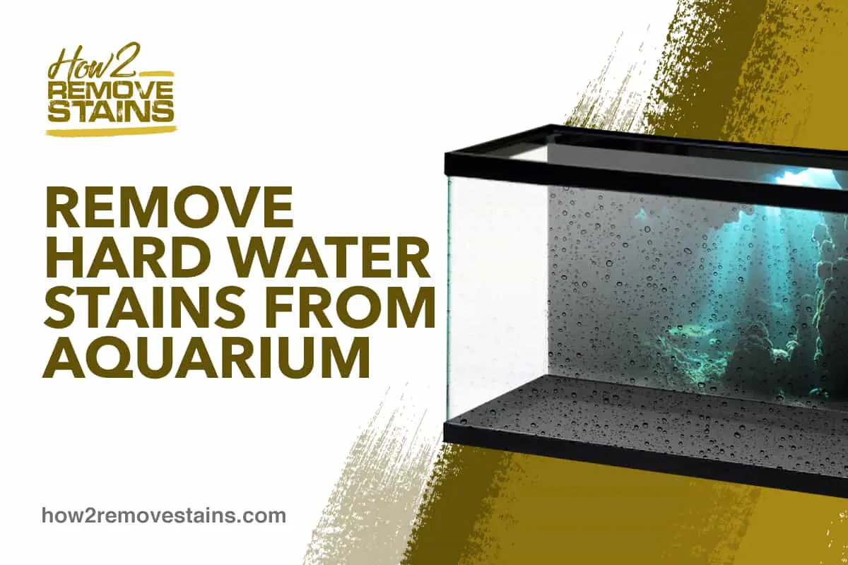 Comment éliminer les taches d'eau dure d'un aquarium ?